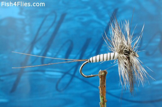 Fish4Flies Hern's Spent Drake